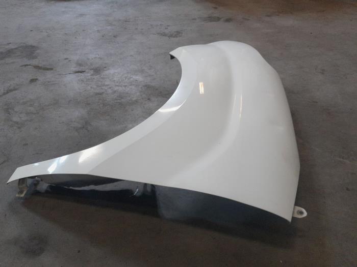 Framskärm, vänster från en Fiat Doblo Cargo (263) 1.6 D Multijet 2012