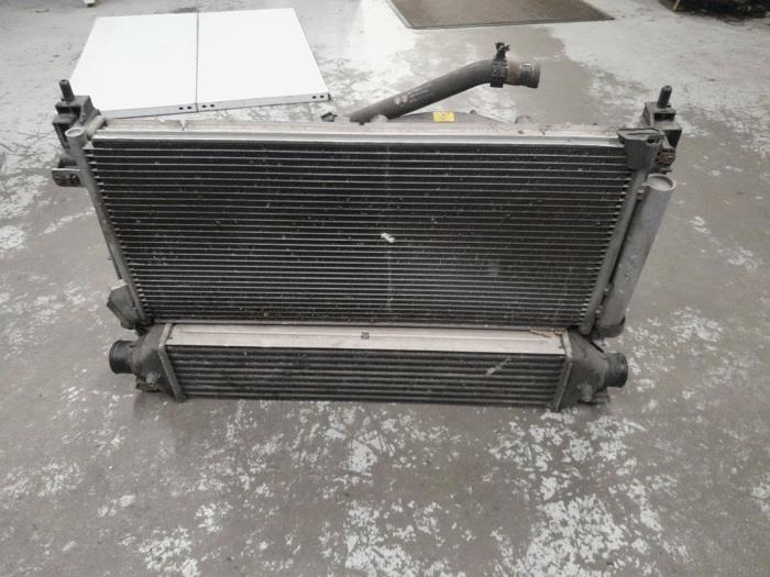 Front från en Fiat Doblo Cargo (263) 1.6 D Multijet 2012