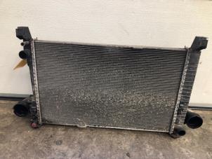 Begagnade Kylare Mercedes A (W169) 2.0 A-160 CDI 16V Pris på förfrågan erbjuds av Tijdeman Mercedes Onderdelen