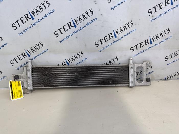 Kylare från en Mercedes-Benz B (W246) Electric Drive 2017