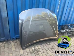 Begagnade Motorhuv BMW 3 serie Touring (F31) 320d 2.0 16V EfficientDynamicsEdition Pris € 400,00 Marginaltabell erbjuds av Bentie's autodemontage