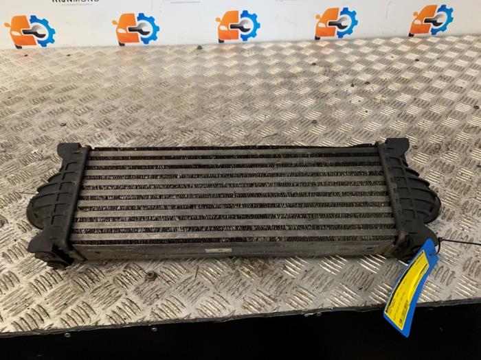 Laddluftkylare från en Ford Transit Custom 2.2 TDCi 16V 2014