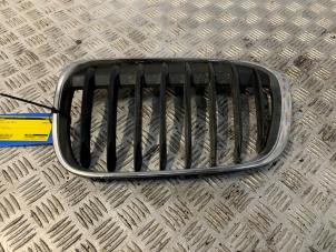 Używane Grill BMW X1 (F48) xDrive 20d 2.0 16V Cena € 48,40 Z VAT oferowane przez Autodemontage Rijnmond BV