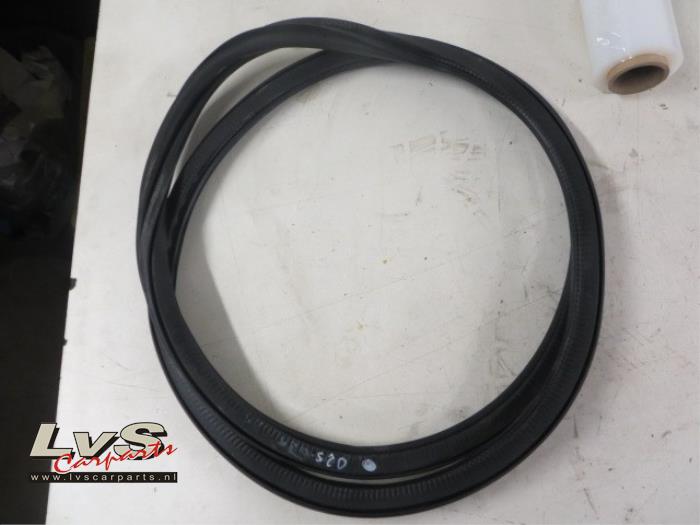 Volkswagen Polo Türgummi 4-türig links hinten