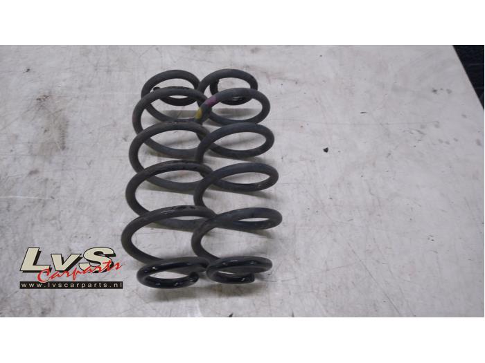 Renault Twingo Rear torsion spring