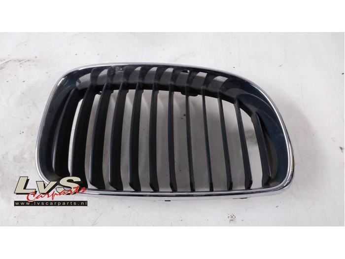 BMW 1-Serie Grille