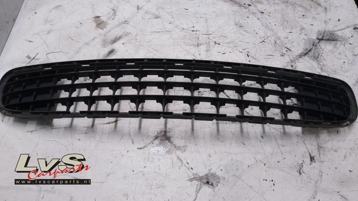 Mini Countryman Stoßstangenrost