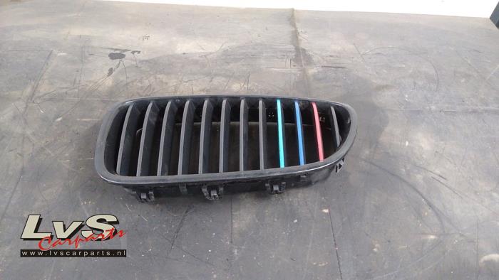 BMW 5-Serie Grille