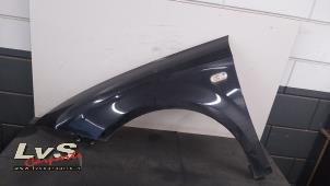 Gebruikte Scherm links-voor Seat Leon (1P1) 1.9 TDI 105 Prijs € 40,00 Margeregeling aangeboden door LvS Carparts