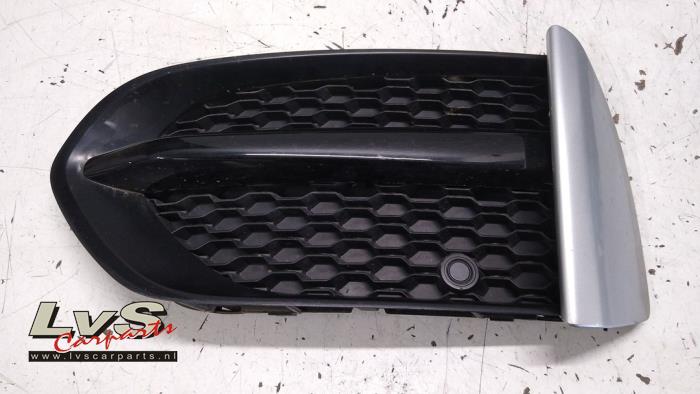 Jaguar F-Pace Stoßstangenrost