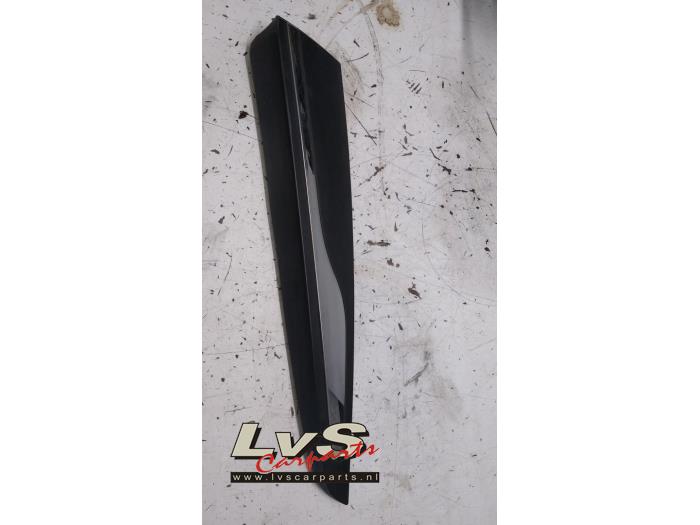 Renault Clio Door strip