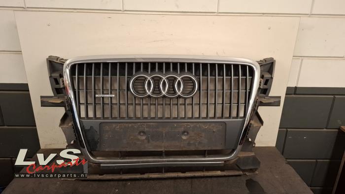 Audi Q5 Grill