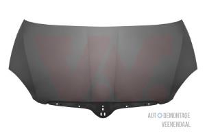 Nowe Maska Skoda Fabia II (5J) 1.2i 12V Cena € 181,50 Z VAT oferowane przez Autodeleninkleur