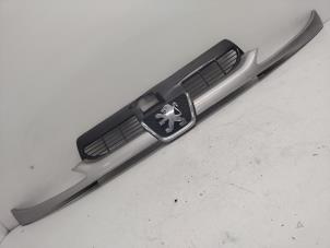 Gebruikte Grille Peugeot 206 (2A/C/H/J/S) 1.6 16V Prijs € 20,00 Margeregeling aangeboden door Hans Auto Onderdelen