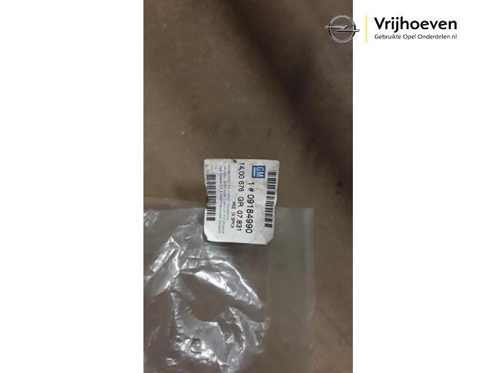 Grille van een Opel Corsa C (F08/68) 1.2 16V 2002