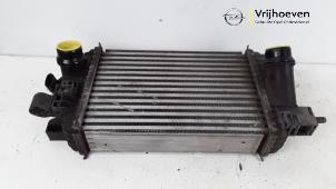 Begagnade Laddluftkylare Opel Meriva 1.4 Turbo 16V Ecotec Pris € 50,00 Marginaltabell erbjuds av Autodemontage Vrijhoeven B.V.