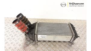 Gebruikte Intercooler Opel Crossland (X) 1.2 Turbo 12V Prijs € 65,00 Margeregeling aangeboden door Autodemontage Vrijhoeven B.V.