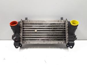 Begagnade Laddluftkylare Audi A2 (8Z0) 1.4 TDI Euro 4 Pris € 150,00 Marginaltabell erbjuds av Autoparts Veghel