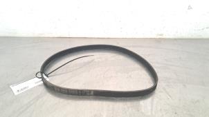 Gebruikte Multiriem Citroen C3 (SX/SW) 1.5 Blue HDi 100 16V Prijs € 18,15 Inclusief btw aangeboden door Autohandel Didier