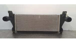 Begagnade Laddluftkylare Ford Ranger 2.0 EcoBlue 16V 4x4 Pris € 163,35 Inklusive moms erbjuds av Autohandel Didier