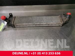 Używane Chlodnica miedzystopniowa Volvo V50 (MW) 2.0 D 16V Cena € 70,00 Procedura marży oferowane przez van Deijne Onderdelen Uden B.V.