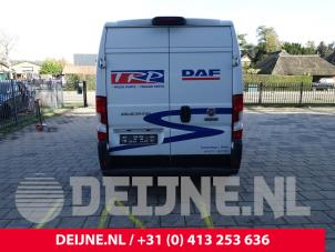 Begagnade Bakdörr, minibuss/van Fiat Ducato (250) 2.3 D 130 Multijet Pris € 484,00 Inklusive moms erbjuds av van Deijne Onderdelen Uden B.V.