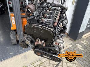 Begagnade Motor Ford Transit 2.2 TDCi 16V Pris € 3.025,00 Inklusive moms erbjuds av Auto's en Parts Westland B.V.