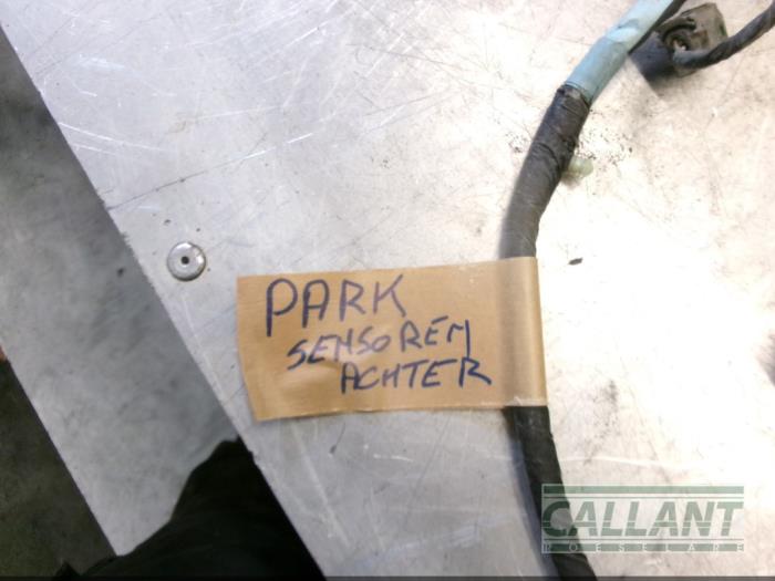 PDC-kablage från en Jaguar S-type (X200) 2.5 V6 24V 2003