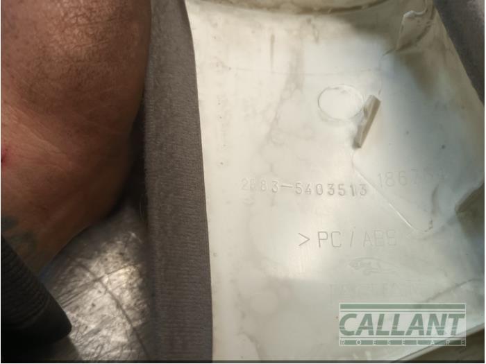 Liststripe, vänster fram från en Jaguar S-type (X200) 2.5 V6 24V 2003