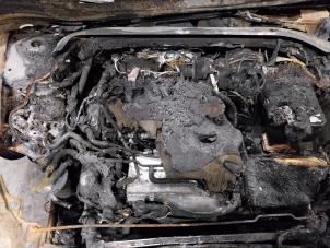 Gebruikte Motor Volkswagen Golf VIII (CD1) 2.0 TDI BlueMotion 16V Prijs op aanvraag aangeboden door Autohandel-Smet Gebroeders NV