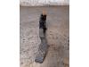 Audi A3 Sportback (8YA) 1.4 40 TFSIe 16V Gaspedaalpositie Sensor