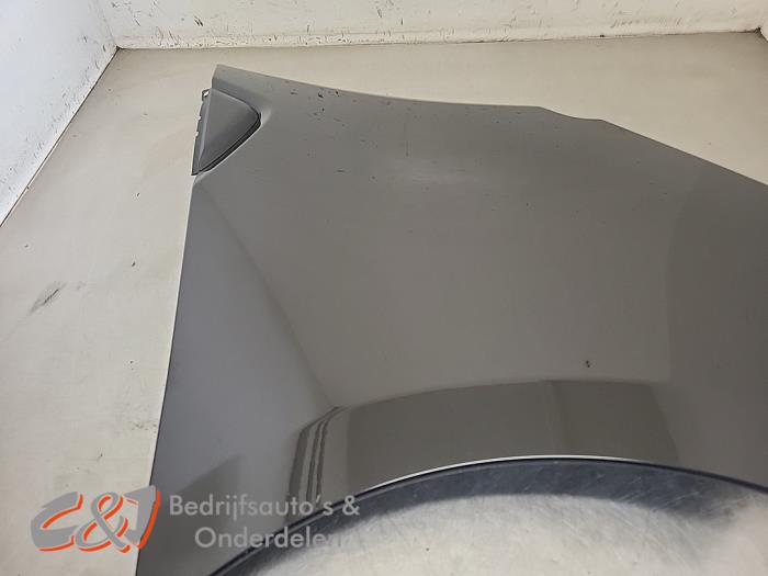 Scherm rechts-voor van een Renault Trafic (1FL/2FL/3FL/4FL) 2.0 dCi 16V 150 2024