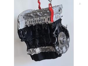 Renoverade Motor Ford Transit 2.2 TDCi 16V RWD Pris € 3.327,50 Inklusive moms erbjuds av Helmondse Motoren Revisie B.V.