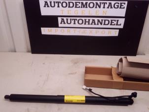 Używane Amortyzator gazowy lewy tyl Tesla Model 3 Cena € 179,99 Procedura marży oferowane przez Autodemontage Tegelen