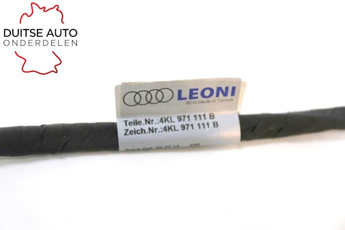 Kabelboom van een Audi e-tron (GEN) 55 quattro 2020