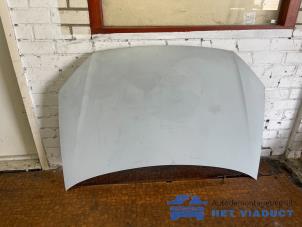 Używane Maska Volkswagen Polo IV (9N1/2/3) 1.4 TDI 80 Cena € 100,00 Procedura marży oferowane przez Het Viaduct