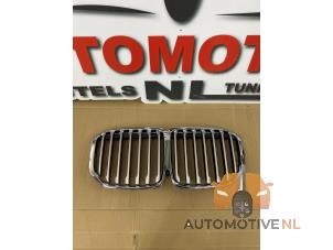 Begagnade Grill BMW X5 (G05) xDrive M50d 3.0 24V Pris € 200,00 Marginaltabell erbjuds av AutomotiveNL Oss
