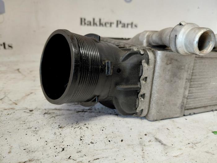 Laddluftkylare från en Land Rover Range Rover Evoque (LVJ/LVS) 2.0 D 150 16V 5-drs. 2018