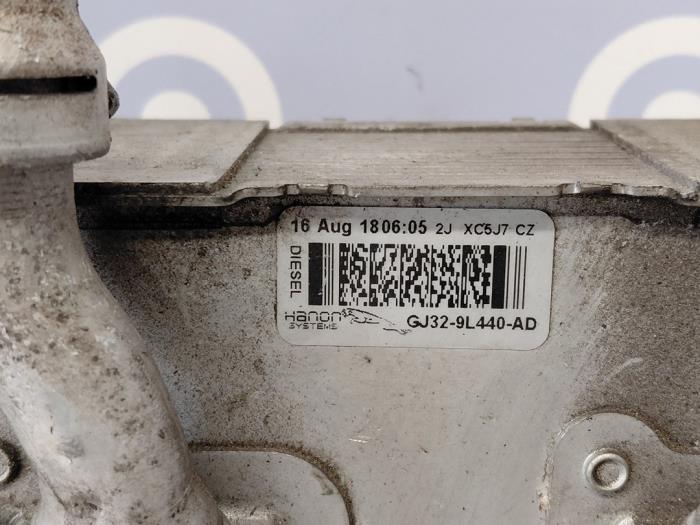 Laddluftkylare från en Land Rover Range Rover Evoque (LVJ/LVS) 2.0 D 150 16V 5-drs. 2018