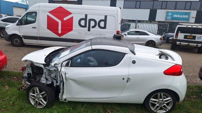 Renault Wind 1.2 16V TCE Sloopvoertuig (2011, Wit)