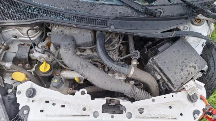 Renault Wind 1.2 16V TCE Sloopvoertuig (2011, Wit)