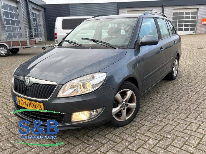 Skoda Fabia II Combi 1.2 TDI 12V Greenline Sloopvoertuig (2010, Grijs)