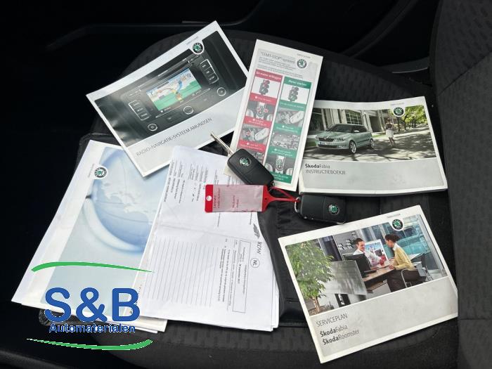 Skoda Fabia II Combi 1.2 TDI 12V Greenline Sloopvoertuig (2010, Grijs)