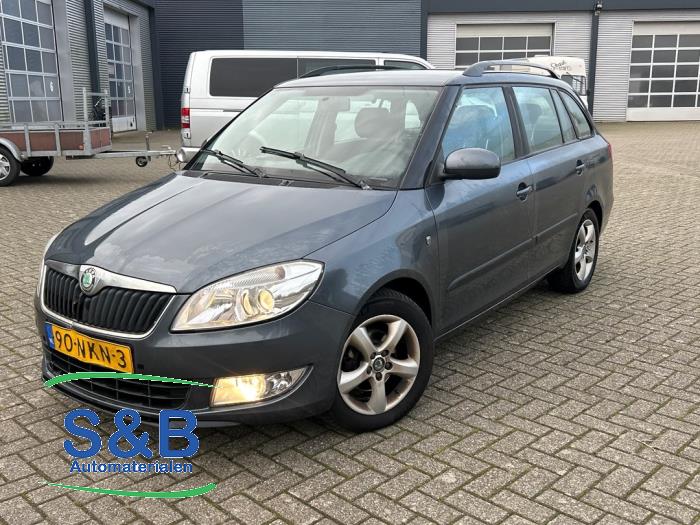 Skoda Fabia II Combi 1.2 TDI 12V Greenline Sloopvoertuig (2010, Grijs)