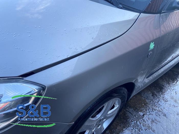 Skoda Fabia Sloopvoertuig (2011, Beige)