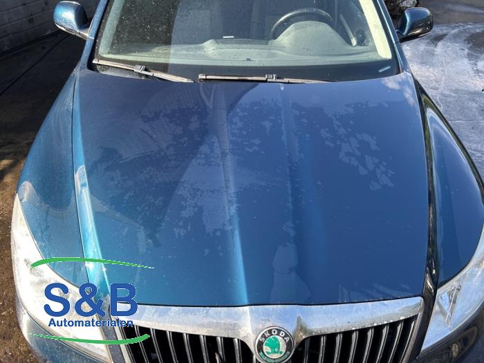 Skoda Octavia Combi 1.6 TDI Greenline Sloopvoertuig (2011, Blauw)
