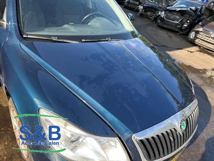 Skoda Octavia Combi 1.6 TDI Greenline Sloopvoertuig (2011, Blauw)