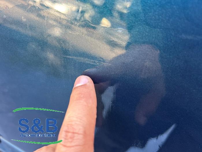 Skoda Octavia Combi 1.6 TDI Greenline Sloopvoertuig (2011, Blauw)