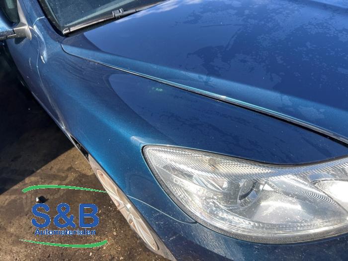 Skoda Octavia Combi 1.6 TDI Greenline Sloopvoertuig (2011, Blauw)