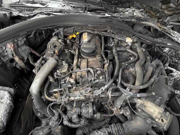 BMW 3-Serie Sloopvoertuig (2019, Zwart)